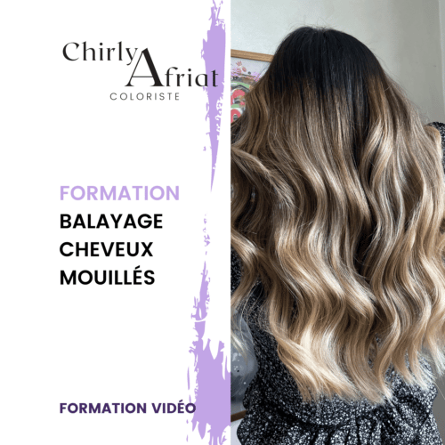 Balayage Cheveux Mouilles