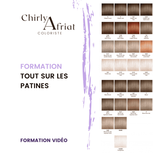 Tout sur les patines_Chirly Afriat_Formations vidéo