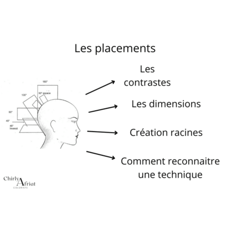 Formation placements, contrastes,dimensions et création racines .
