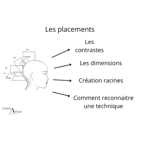 Formation placements, contrastes,dimensions et création racines .